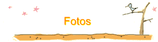 Fotos